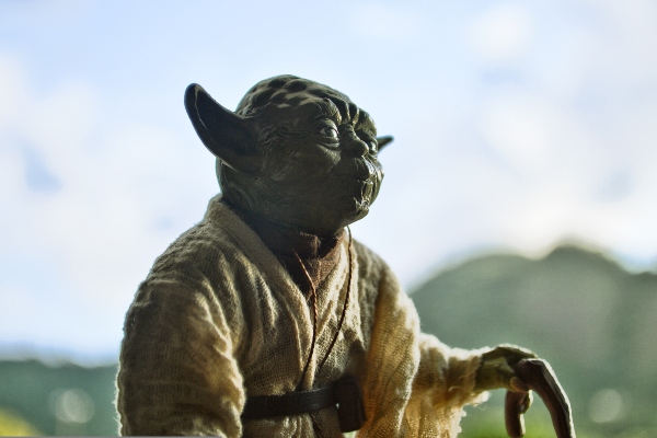 Semana Star Wars Mayo 2024 | Sant Josep, Ibiza: Yoda