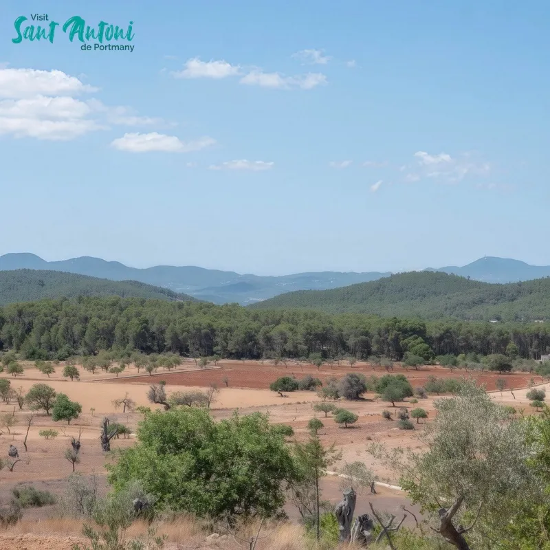 Vista del Pla de Sant Mateu en San Antonio (Sant Antoni de Portmany)