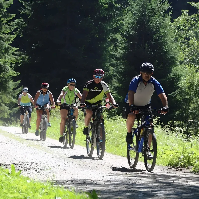 Grupo de cicloturistas en ruta