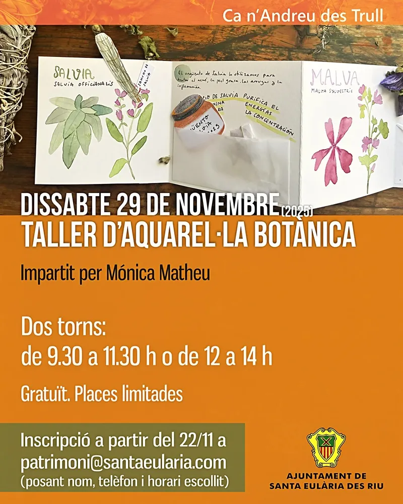 Taller d'aquarel·la botánica amb Mònica Matheu, Novembre 2025. Ca n'Andreu des Trull, Sant Carles (Santa Eulària), Eivissa