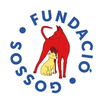 Fundació Gossos, San Rafael, Ibiza (Eivissa)