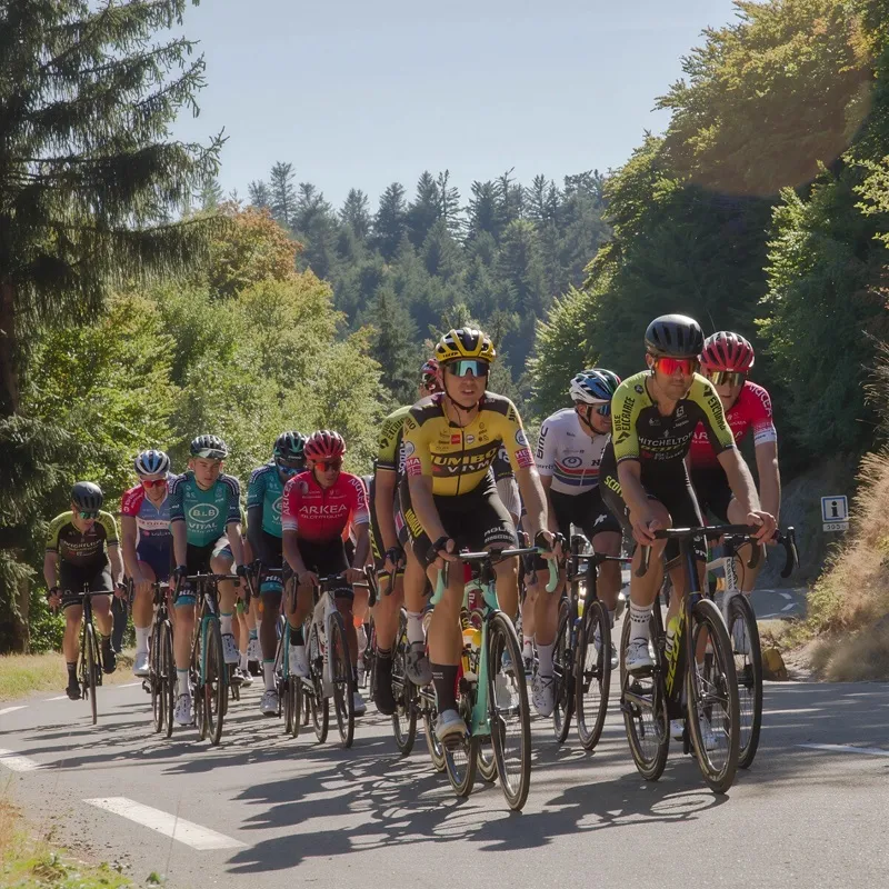 Grupo de ciclistas en carretera