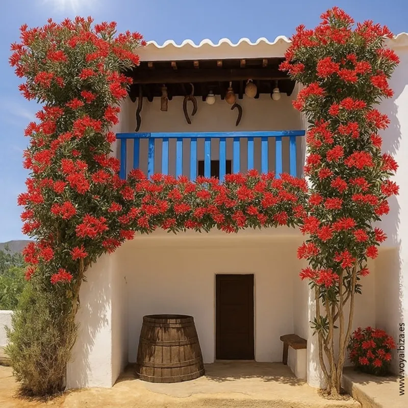 Ca n'Andreu des Trull, Sant Carles (Santa Eulària), Ibiza (Eivissa)