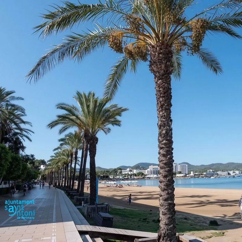 Paseo Marítimo de San Antonio - Passeig Maritim de Sant Antoni de Portmany