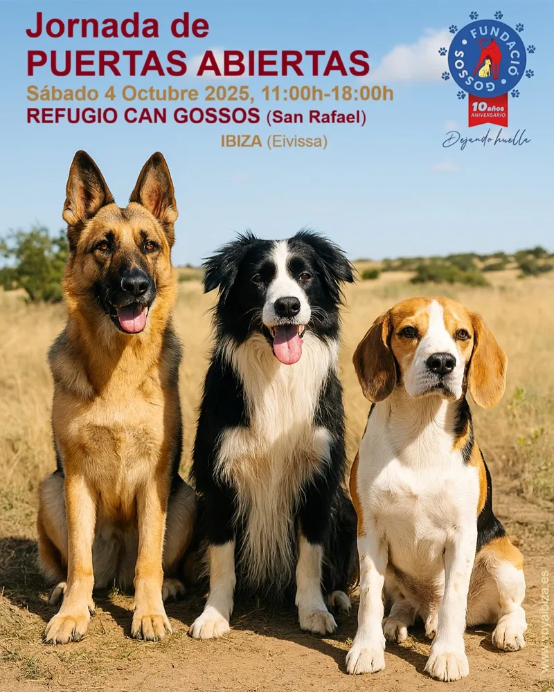 Jornada de Puertas Abiertas 2025 en Refugio Can Gossos, San Rafael (San Antonio), Ibiza (Eivissa)