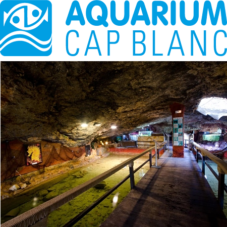 Aquarium Cap Blanc