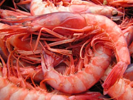 Gamba rosada o roja