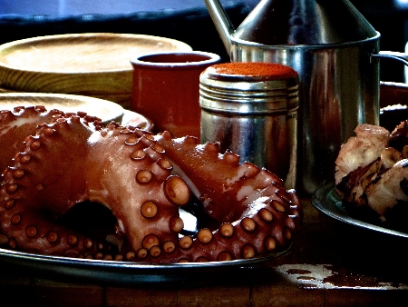 Pulpo común (pulpo de roca, polp)