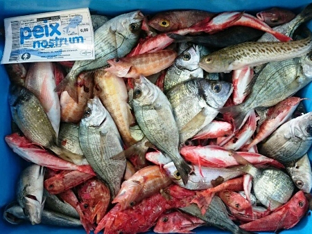 Bandeja de peces de roca