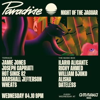 Paradise Amnesia Closing Party