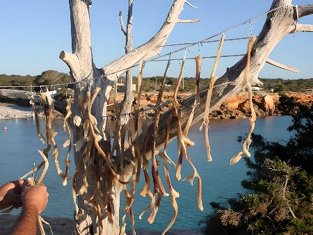 Preparación del Peix Sec: Colgando el Pescado al sol
