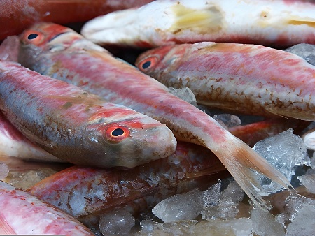Salmonetes (molls)