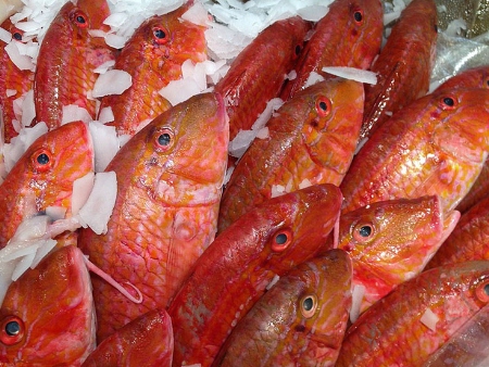 Salmonetes (molls)