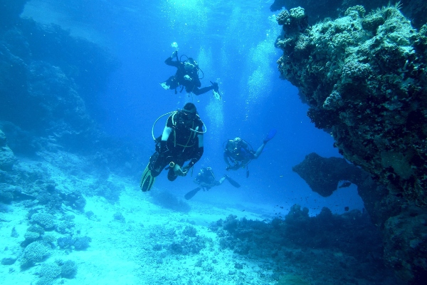 Submarinismo en Ibiza (Eivissa), Buceo y rutas