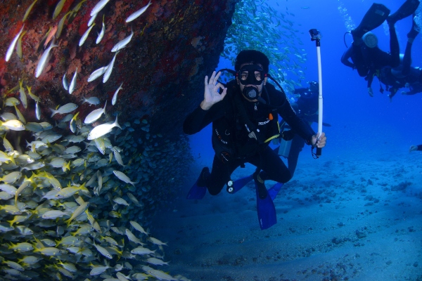 Submarinismo en Ibiza (Eivissa), Buceo y rutas