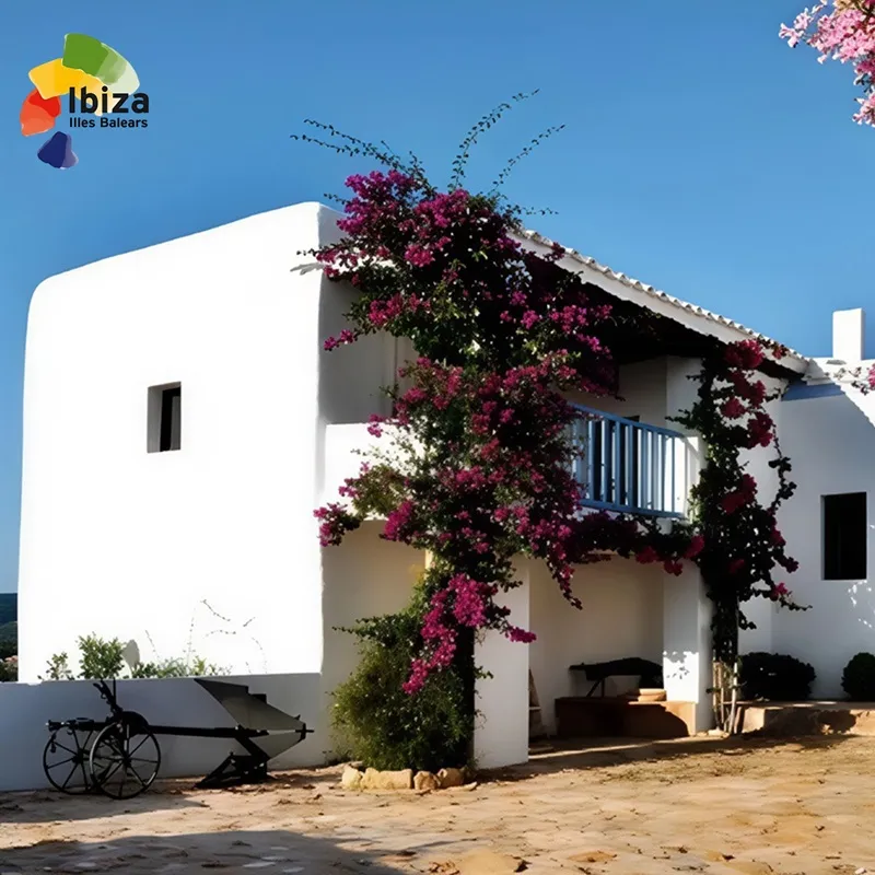 Rutas Arqueológicas en Ibiza (Eivissa): Ca n'Andreu des Trull