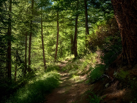 XV IBIZA TRAIL MARATÓN FESTIVAL 2023