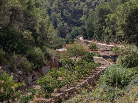 Es Broll de Buscastell (Sant Antoni), Ibiza (Eivissa)