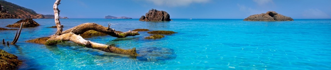 Playas de Ibiza: Aigües Blanques (Aguas Blancas)