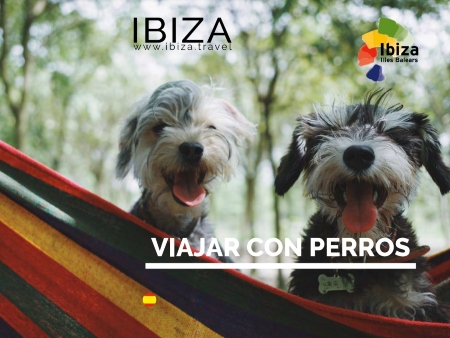 Viajar a Ibiza con perro