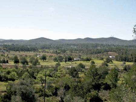 Sant Llorenç de Balàfia (San Lorenzo): Vista del campo