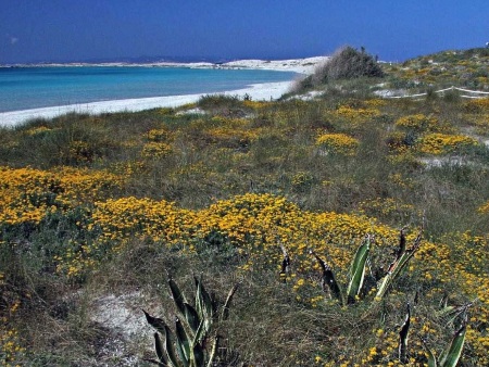 Playas y Calas de Formentera: Llevant
