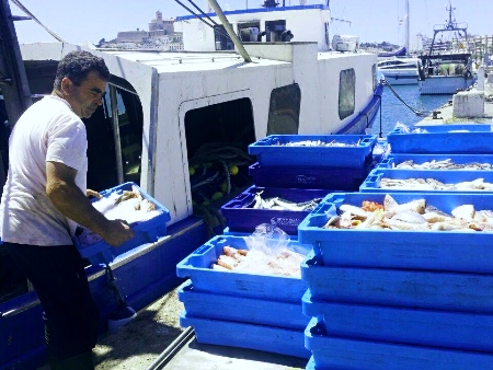 Peix Nostrum Ibiza: Descargando pescado en el muelle