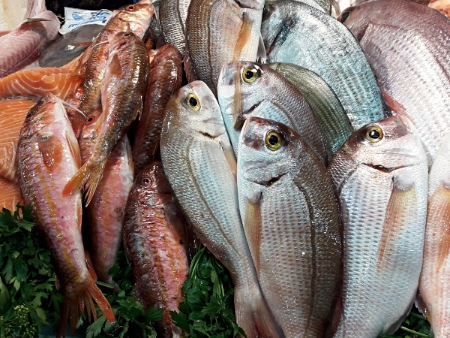 Peix Nostrum Ibiza: pescados para la lonja