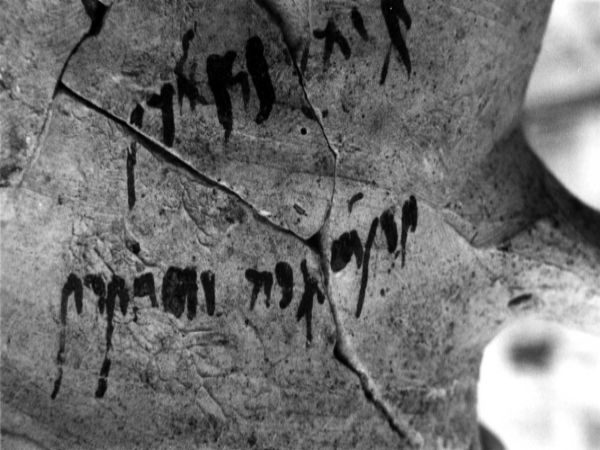 Jarrita tardopúnica encuentrada en el Puig des Molins, con una inscripción incisa